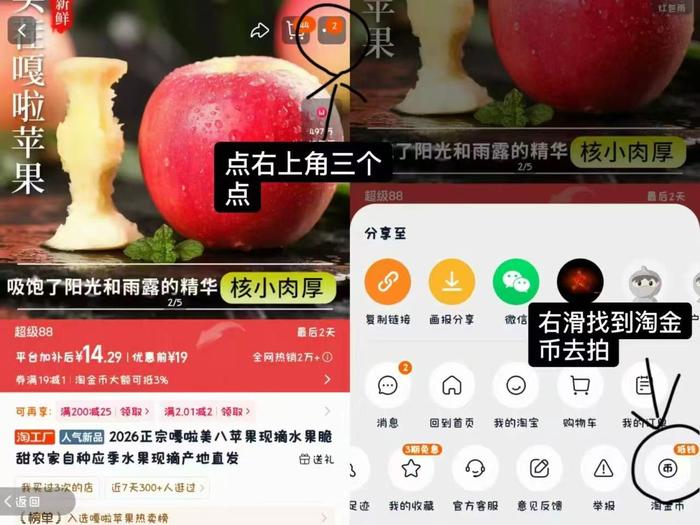 2026正宗嘎啦美八苹果现摘水果脆甜农家自种应季水果现摘产地直发