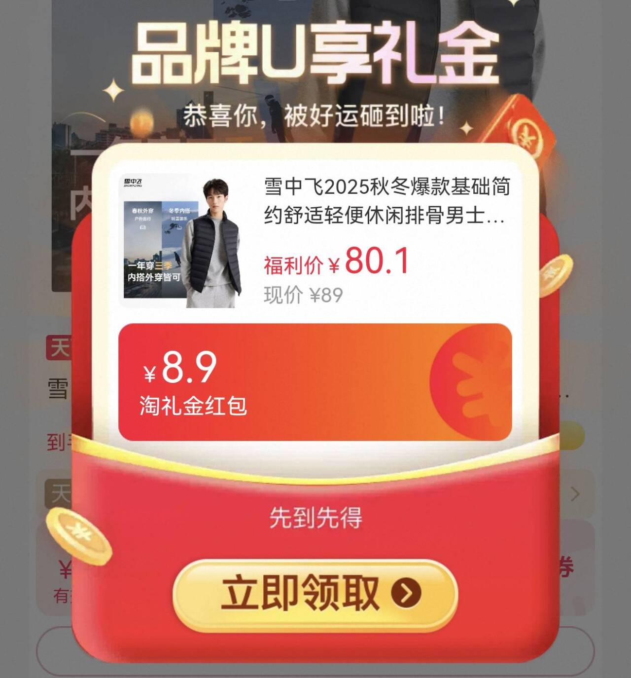 男士立领羽绒马甲雪中飞