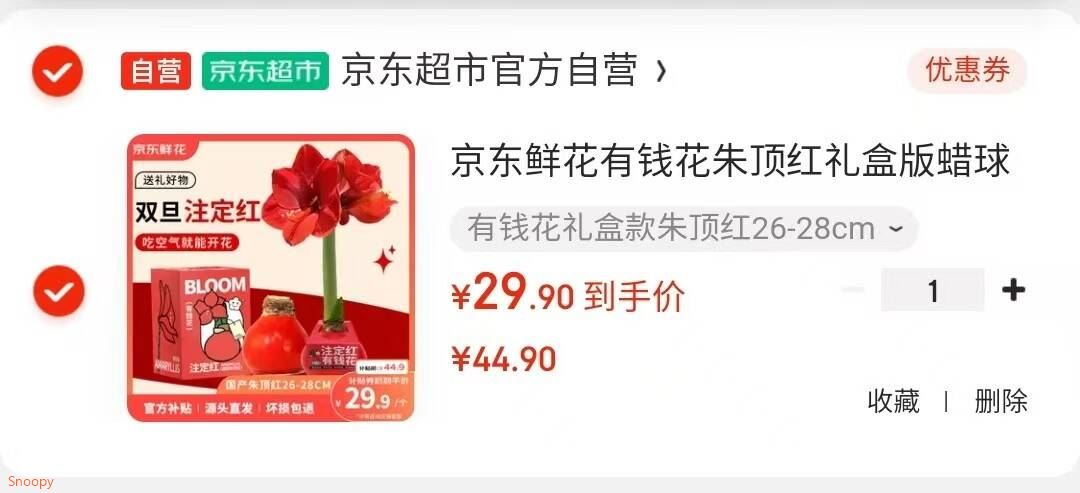 京东鲜花有钱花朱顶红礼盒版蜡球周长26-28cm品种随机圣诞礼物源头直发