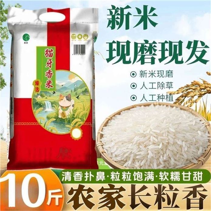 ——爆歀香米炒底价——先領25-10券https://coupon.m.jd.com/coupons/show.action?linkKey=AAROH_xIpeffAs_-naABEFoeGjqQlDkXVNR8qJQxowFpRZZmCHAZlbberCgBsvsNgbo-q1zf7cPEgITdSPcH1mMk7W2ZNw粮心妹 现磨农家猫牙香米10斤https://u.jd.com/krqJ3j7  19.9元；才1.9/斤 米香独特正宗香米 口感软糯 爱吃的囤