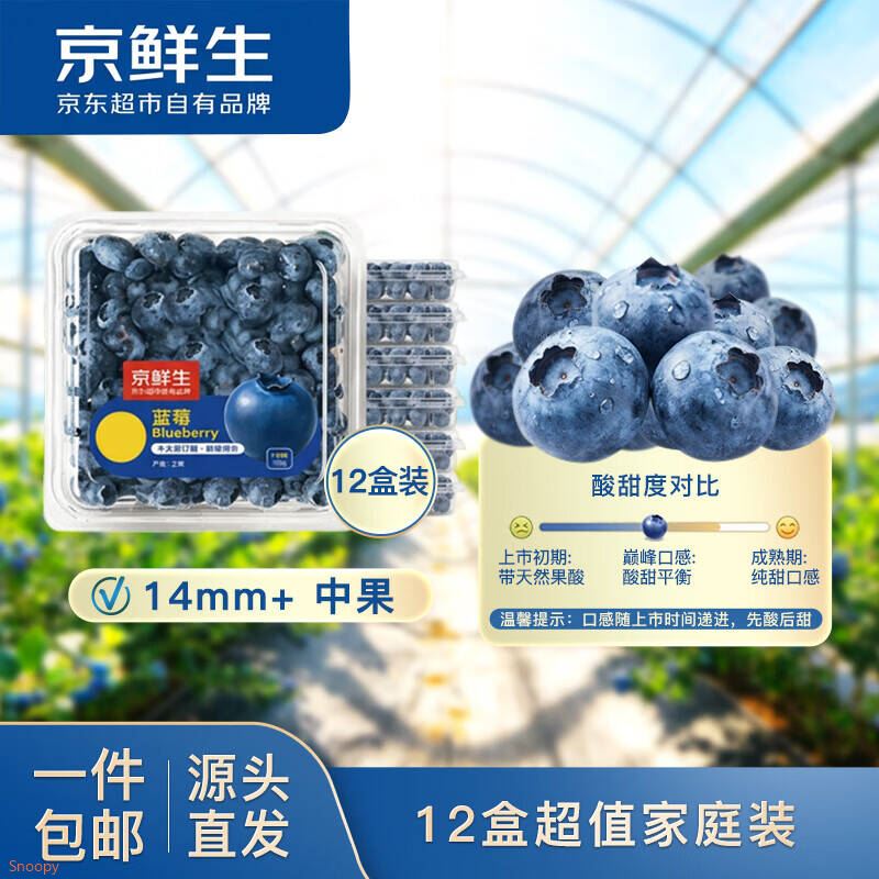 京鲜生 云南蓝莓 12盒14mm+ 100g/盒 净重2.4斤 生鲜水果源头直发