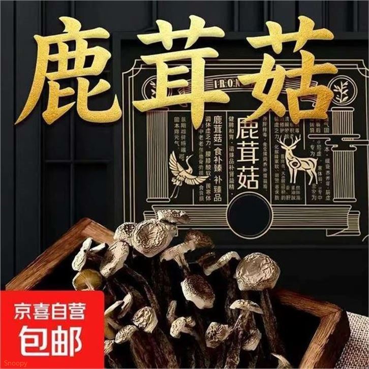 京喜自营 江苏鹿茸菇500g2袋領https://coupon.m.jd.com/coupons/show.action?linkKey=AAROH_xIpeffAs_-naABEFoez8DQEtdk0o1vnDxviHZ3hyuk4A271CPZnC-atQCMVUemxCkJf8Q3iKjXGP-KCxnWLCyxqA拍https://u.jd.com/9GXOFeb  39.9元，才19.9元/袋 自然晾晒采销推荐 个大剪脚 精选品质
