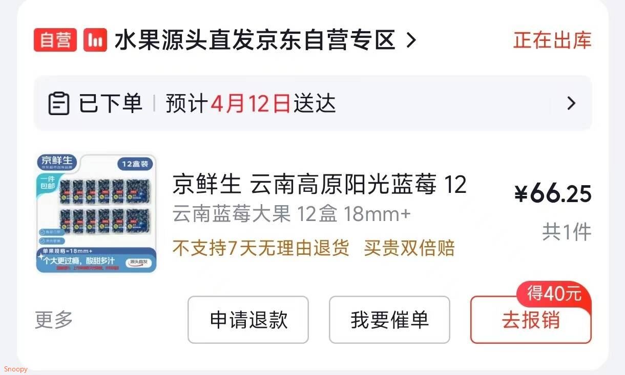 扭扭车儿童1岁新款大人可坐双人宝宝溜溜车摇摇摆婴儿车礼物 扭扭车 咖色