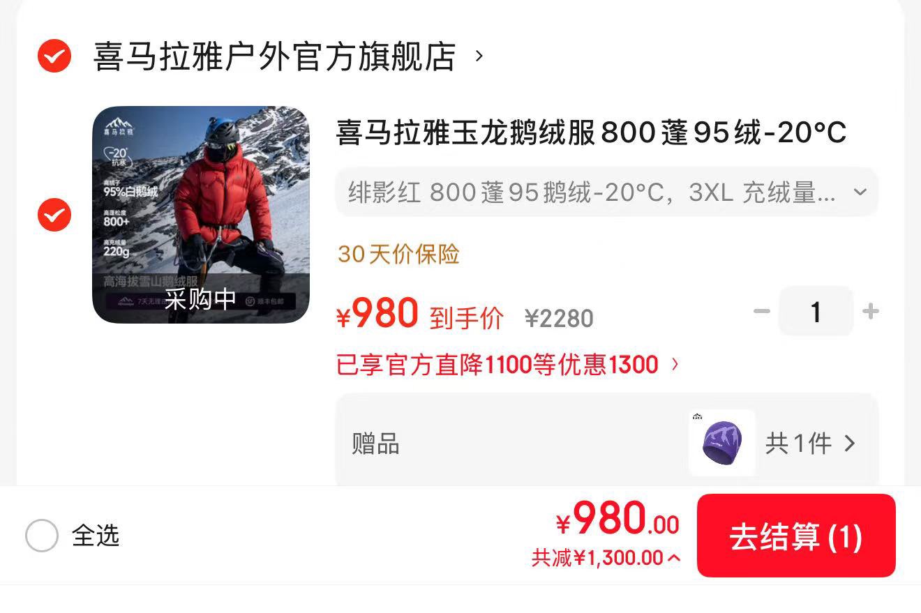 喜马拉雅玉龙鹅绒服800蓬95绒-20°C雪山攀登专业户外抗寒防风高蓬羽绒服 太空灰 800蓬95鹅绒-20°C 3XL 充绒量240g