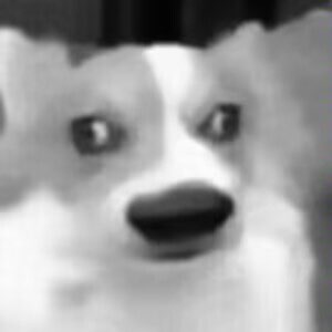 WPS超级会员1年excel表格编辑文字排版ppt制作正版pdf转word