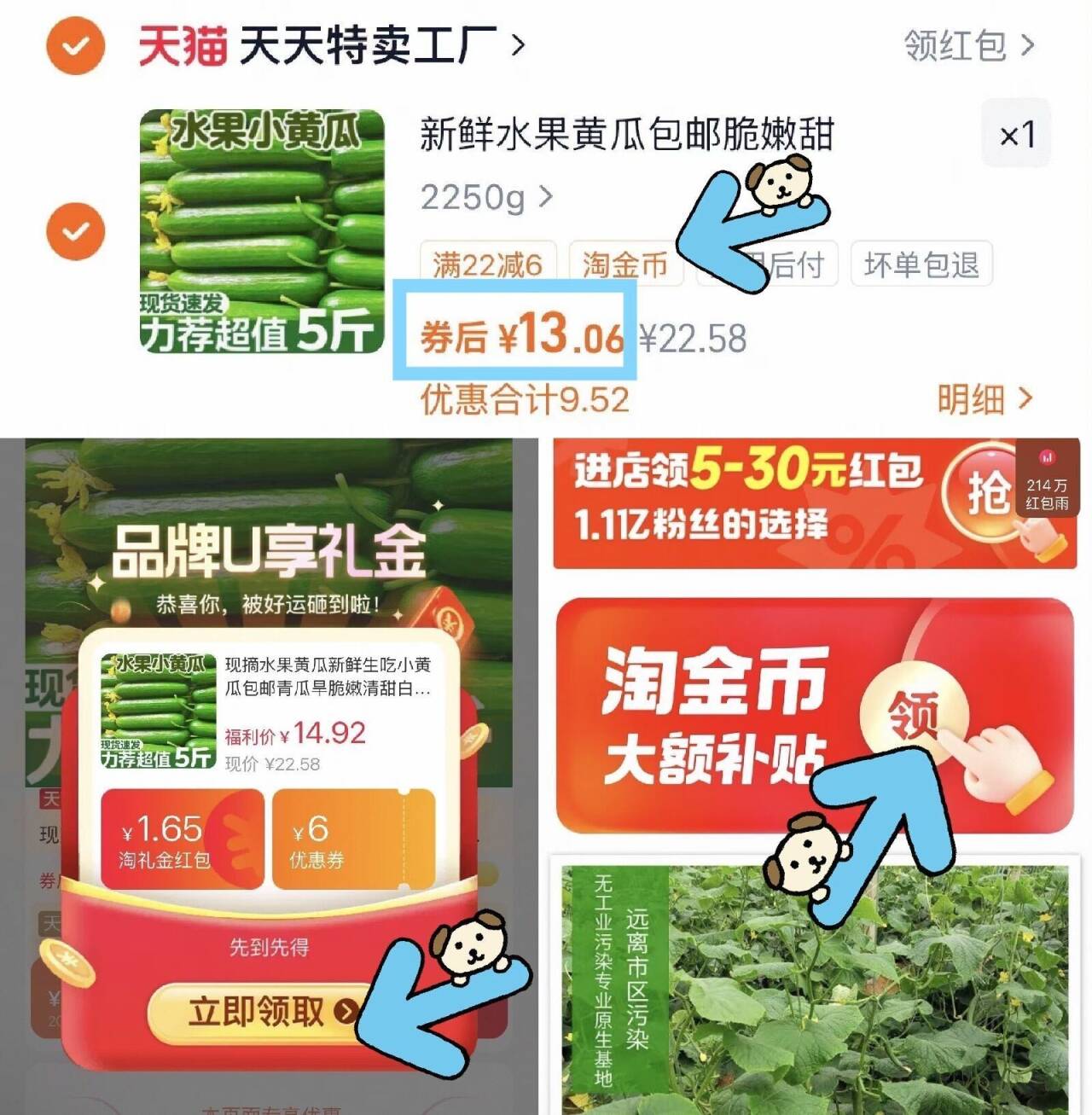 新鲜水果黄瓜脆嫩|千人回购