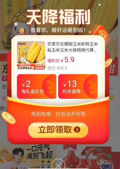 农垦雁窝岛东北糯玉米10支大棒