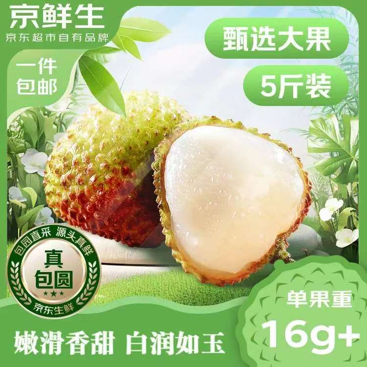 京鲜生 广东妃子笑荔枝净重5斤装 单果16-25g  新鲜水果 源头直发包邮