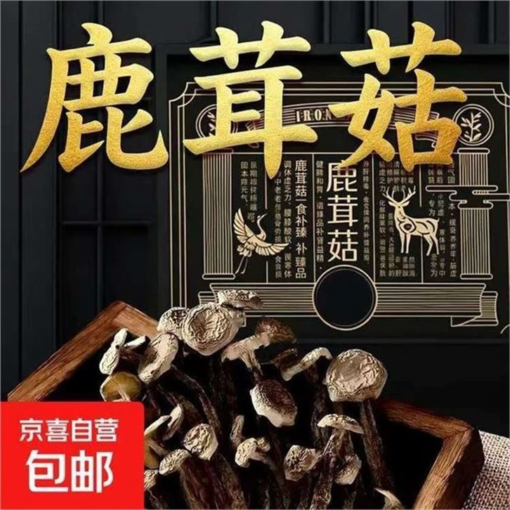 京喜自营 江苏鹿茸菇500g2袋領https://y-08.com/3ZWQPY拍https://u.jd.com/91XrPNo 39.9元，才19.9元/袋 自然晾晒采销推荐 个大剪脚 精选品质