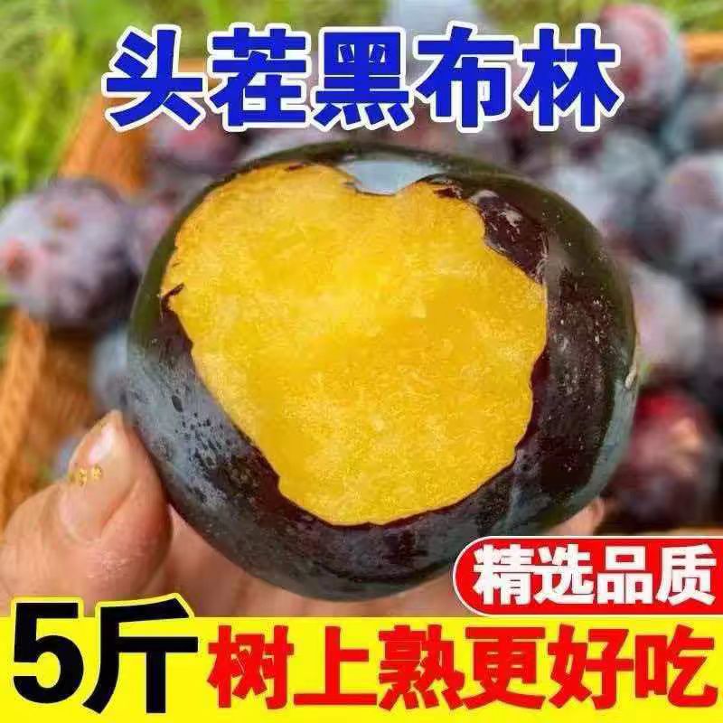 黑布林大精品李子新鲜水果黑布朗黑宝石甜李子带箱5斤现摘采摘