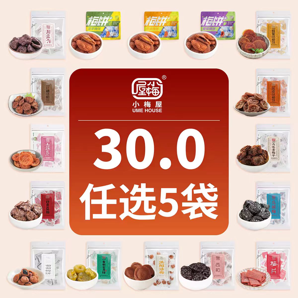 小梅屋梅子多口味尝鲜装组合