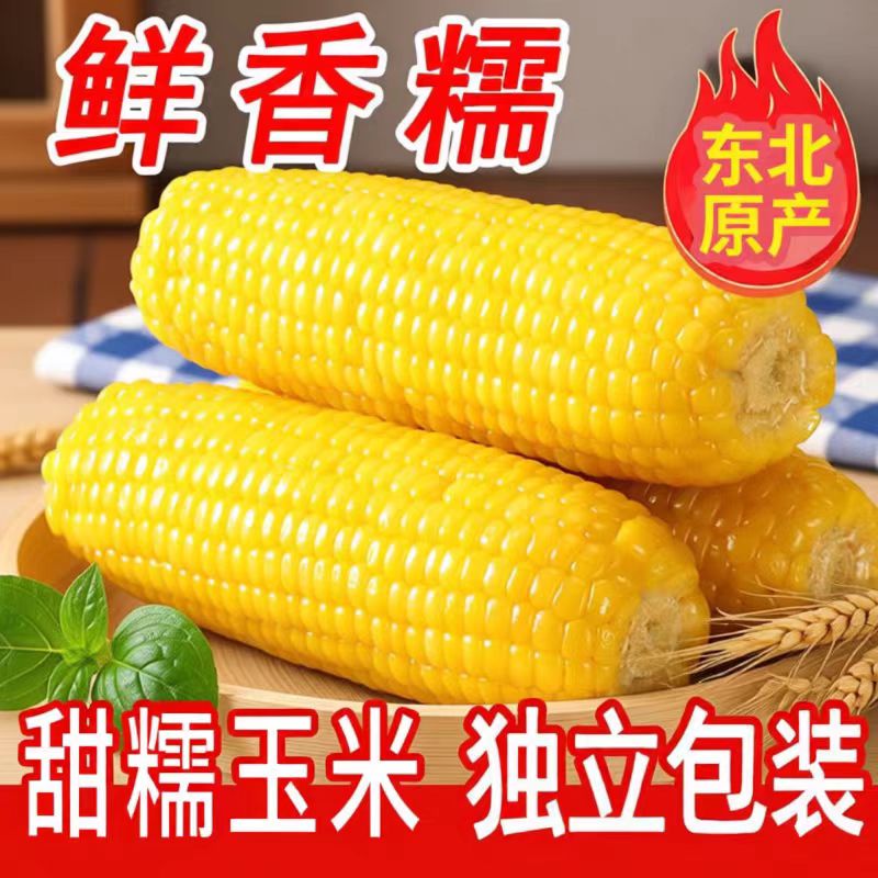 东北黄糯玉米真空包装当季新玉米黑土甜糯玉米代餐粘玉米真空装