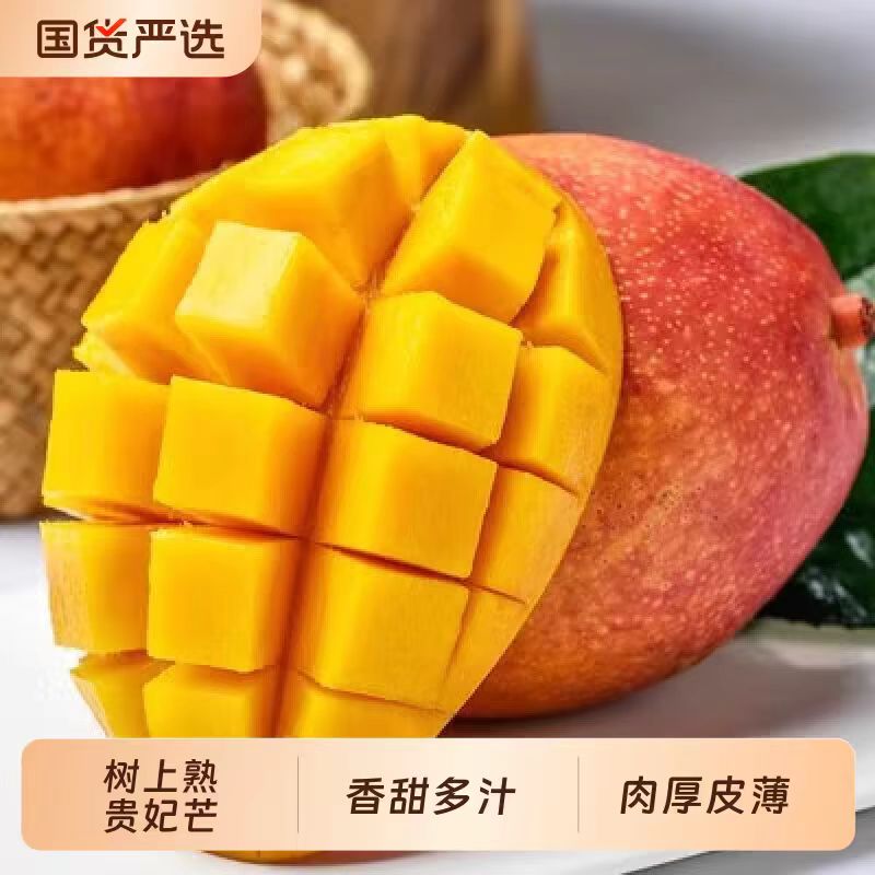 正宗树上熟广西贵妃芒芒新鲜甜芒果应当季孕妇水果现摘热带大芒果