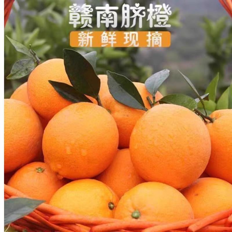 江西赣南脐橙甜新鲜当季直发榨汁专用手剥爆汁橙子4.5斤皮薄现摘