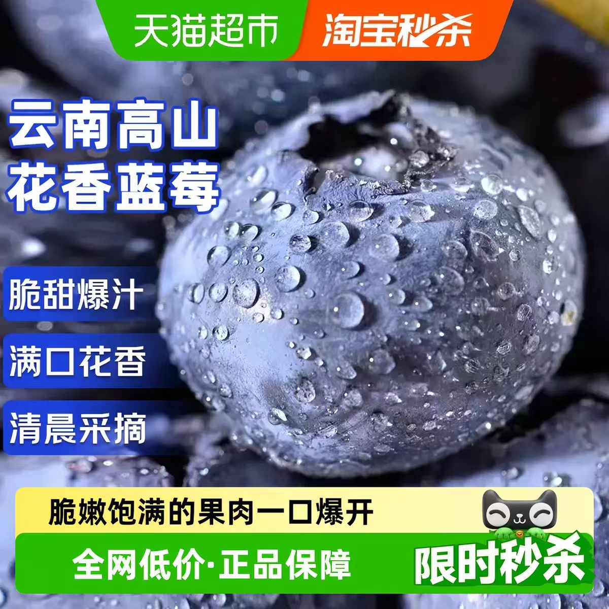 寻天果蔬当季高山蓝莓脆甜多汁