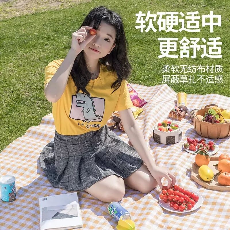 野餐垫防潮垫加厚野餐布户外用品便携防水野炊郊游帐篷垫露营垫