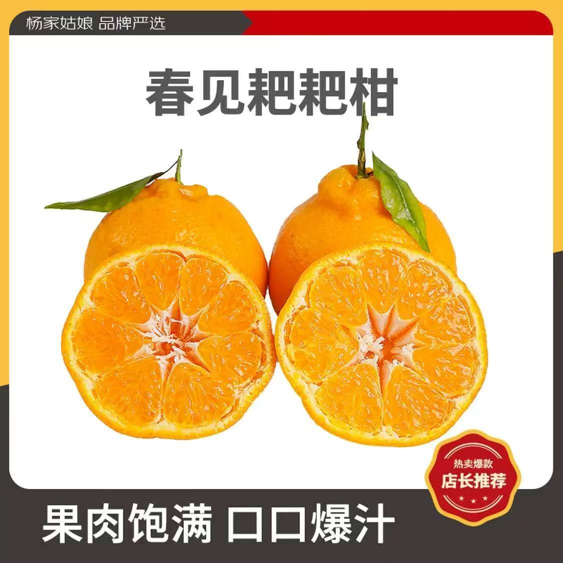 杨家姑娘正宗四川春见耙耙柑特大果 丑橘粑粑柑当季新鲜橘子柑橘水果整箱 65-70mm 试吃尝鲜 净4.5斤【80%的人选择】