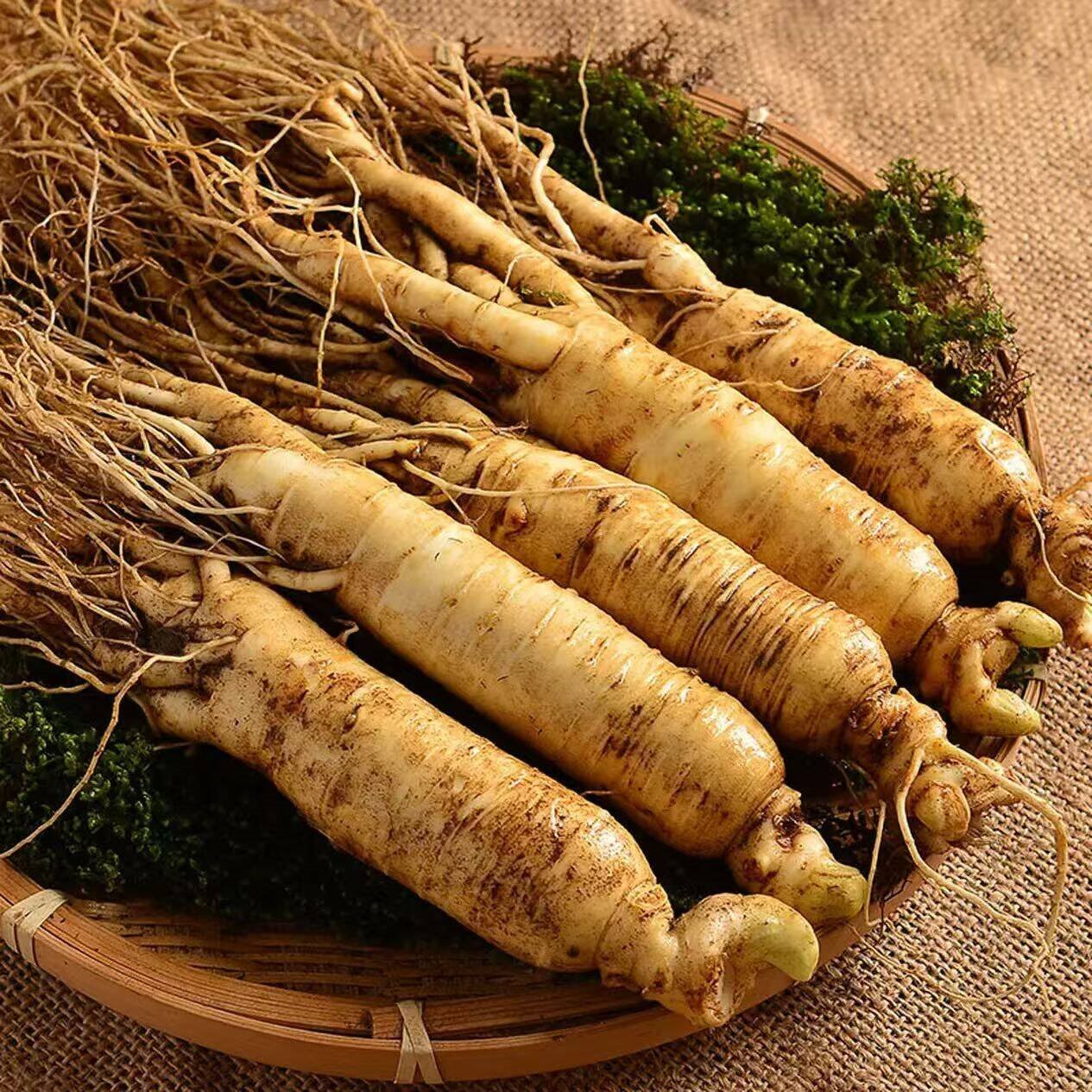 京鲜生 吉林长白山鲜人参 500g礼盒3-4根 新鲜人参鲜参煲汤 源头直发