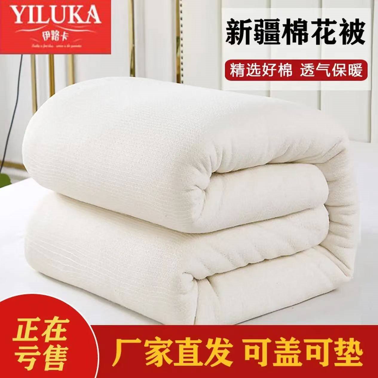 伊路卡被子冬季棉被新疆棉花被被芯棉花胎棉絮复合混棉学生床褥垫子 200*230cm/4斤（夏款）