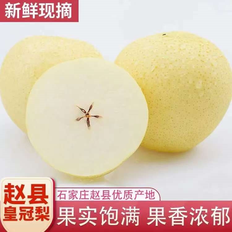 远达（YUANDA）河北皇冠梨赵县特产新鲜水果冰糖雪梨当季水果梨子整箱白梨脆甜 皇冠梨净重4.5单果230g+