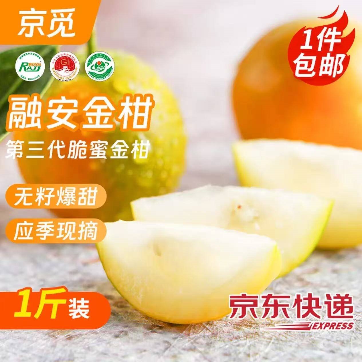 京觅广西融安 第三代脆蜜金桔 1斤装 单果13g+ 源头直发包邮