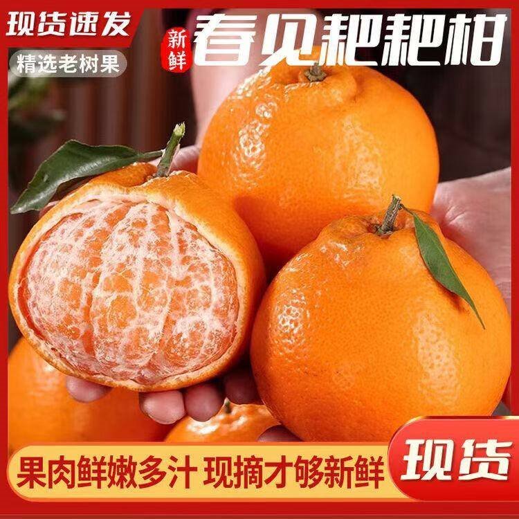 闽域寻鲜四川春见耙耙柑【新鲜现摘】橘子新鲜水果丑柑桔粑粑柑当 带箱5斤【精选果】单果60-70mm 净重4.5斤