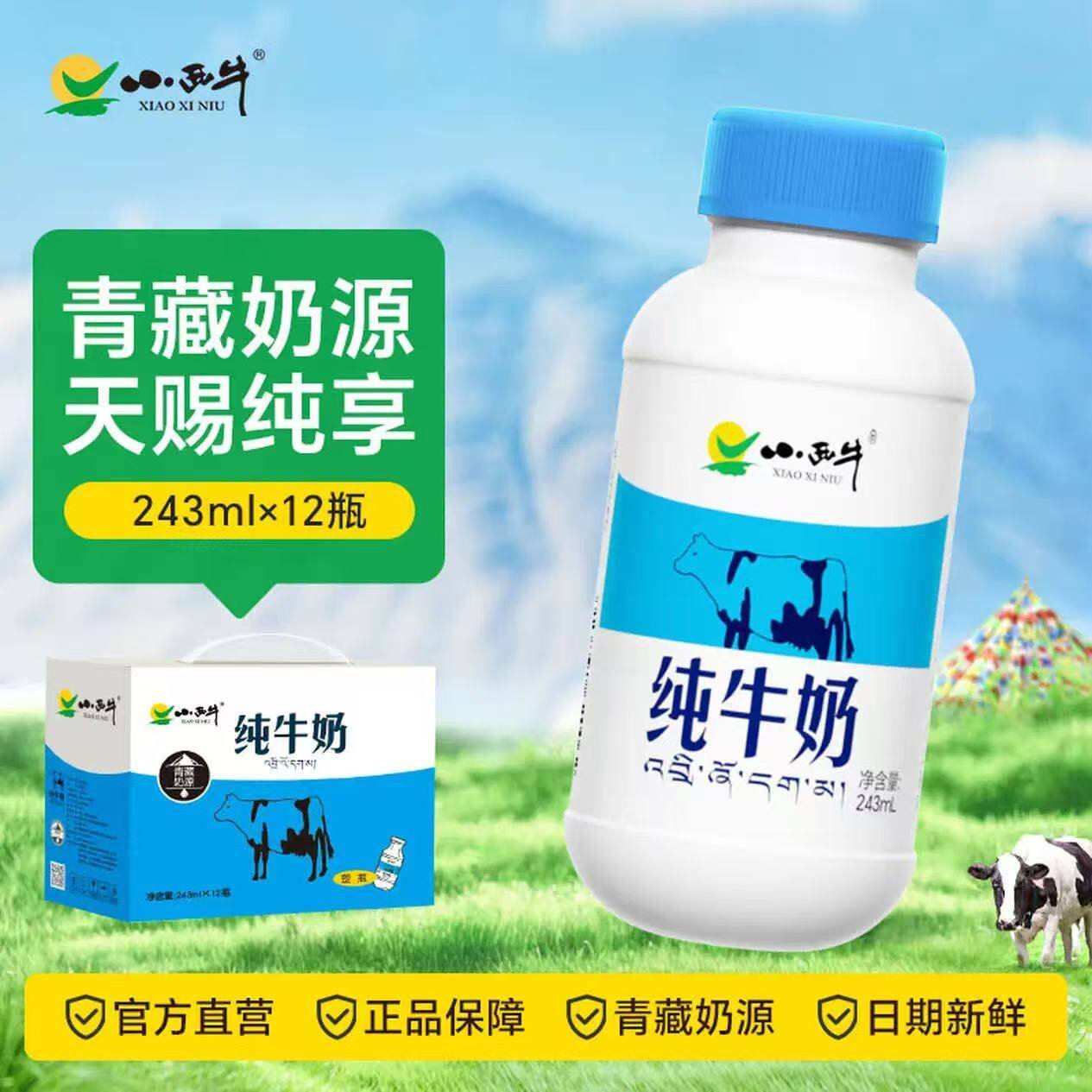 小西牛纯牛奶高原牧场纯牛奶高原奶243mlx12瓶