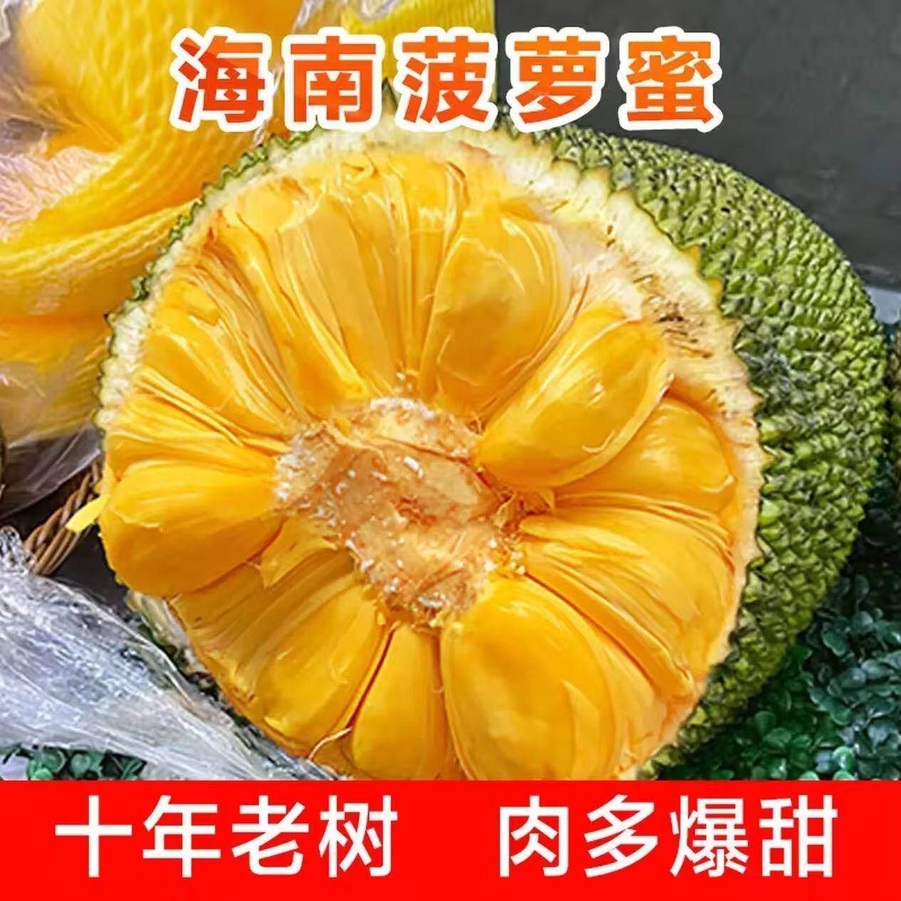 南业果老树大果海南三亚黄肉菠萝蜜整个新鲜水果当季干苞现摘现发 20-25斤