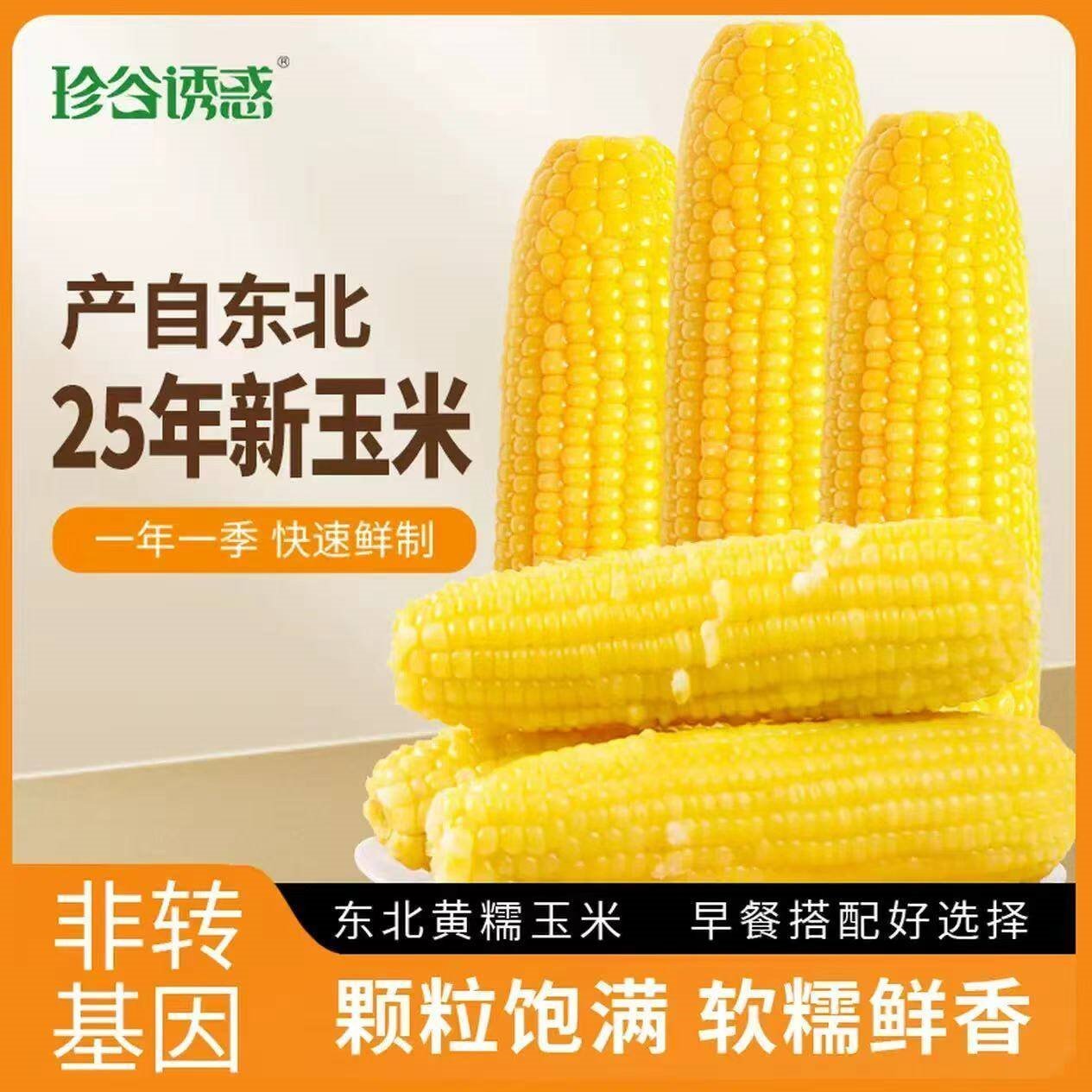 珍谷诱惑25年东北糯玉米新玉米黄糯玉米棒早餐玉米粗粮代餐零食 黄糯玉米12支【单支180g以上】