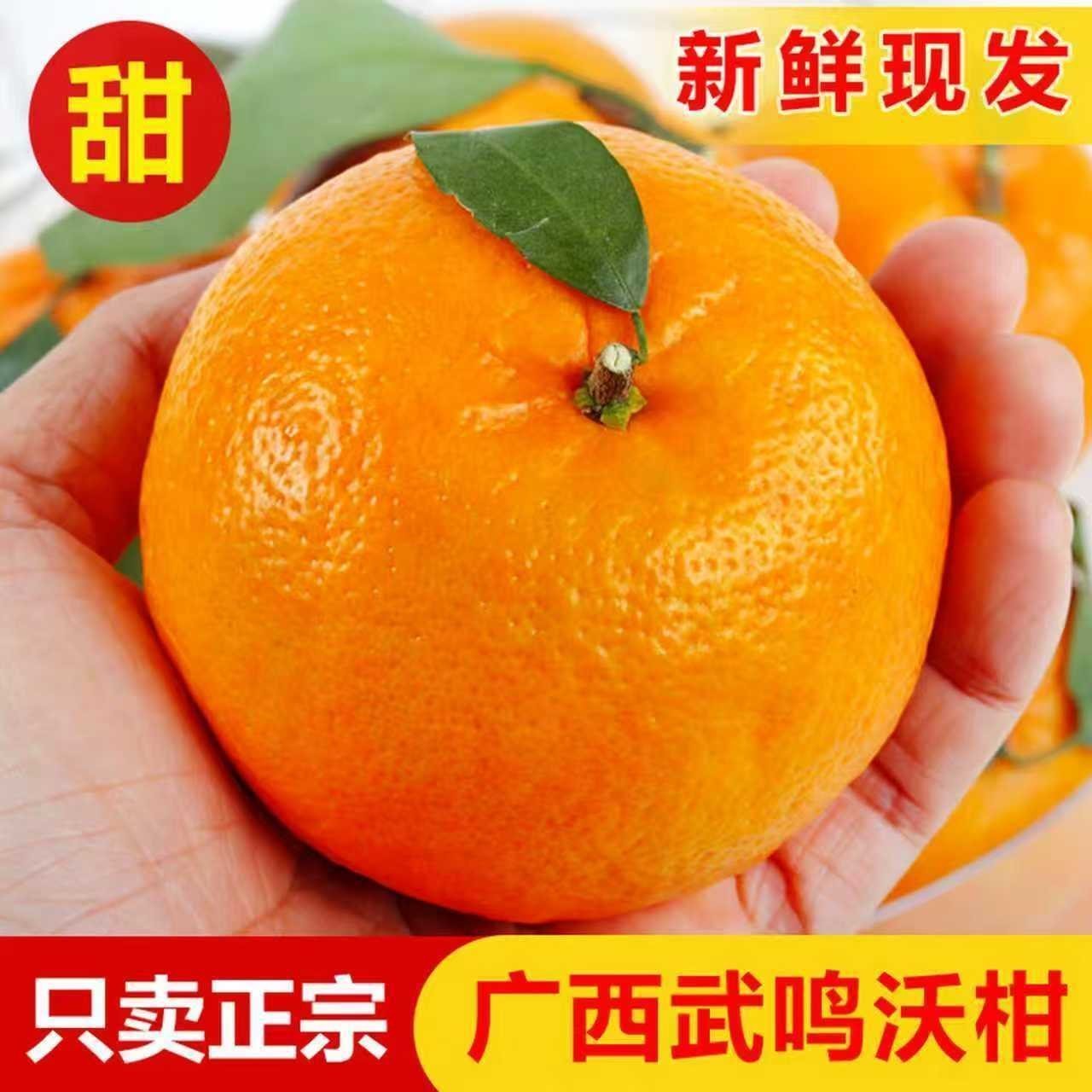 薏品甄鲜广西武鸣沃柑新鲜鲜嫩化渣高糖低酸现发新鲜直达（微花皮果） 60mm以上带箱9斤