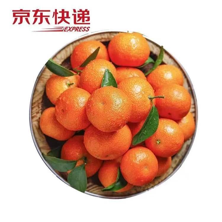 泰汇吃JD配送正宗广西砂糖橘 沙糖桔新鲜时令水果  整箱5斤小果【35-45MM】净4.5斤