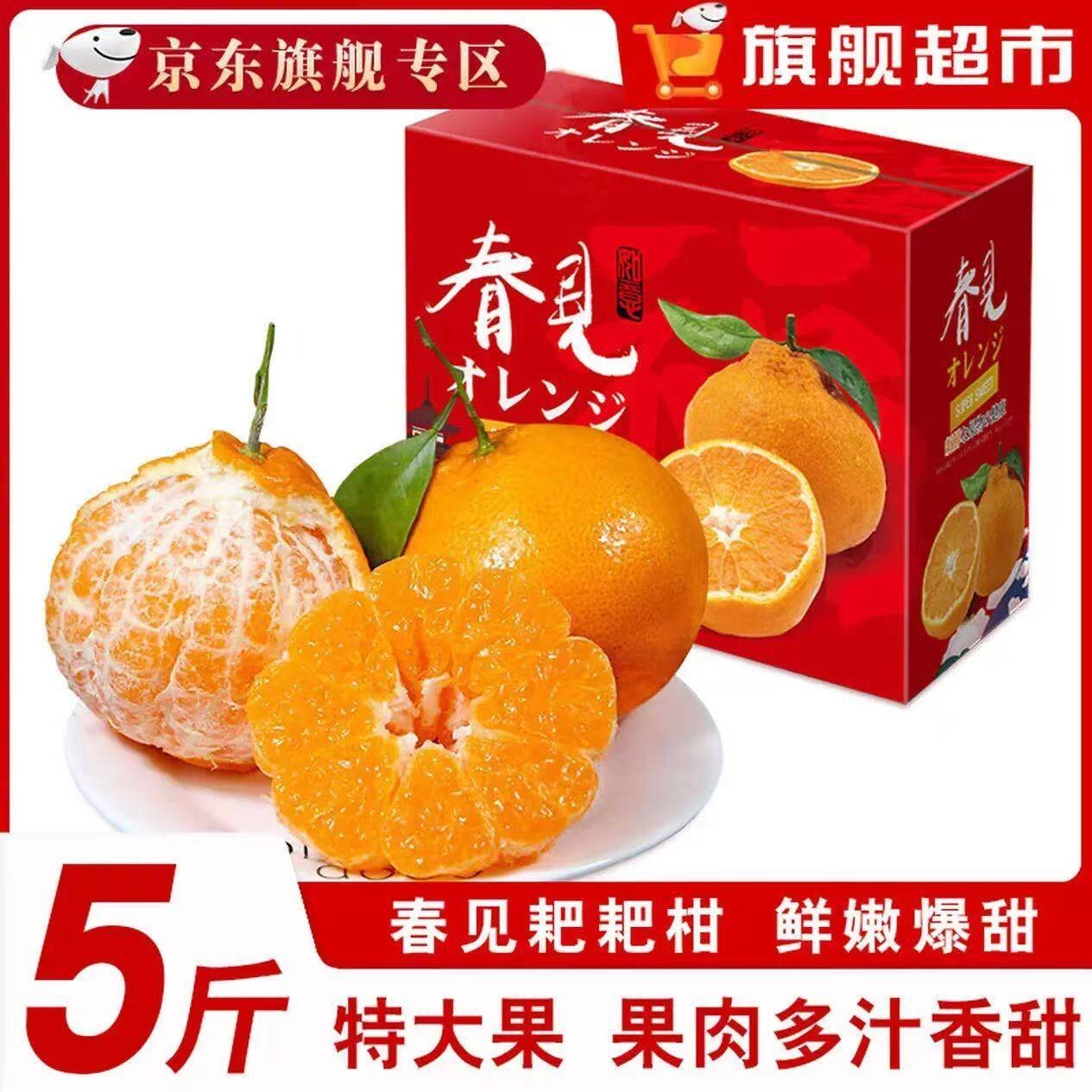 勇者无惧正宗四川春见耙耙柑特大果一整箱丑八怪丑橘子粑粑柑新鲜水果 净重4.5斤【精美彩箱装】 【特大果】果经80-85mm