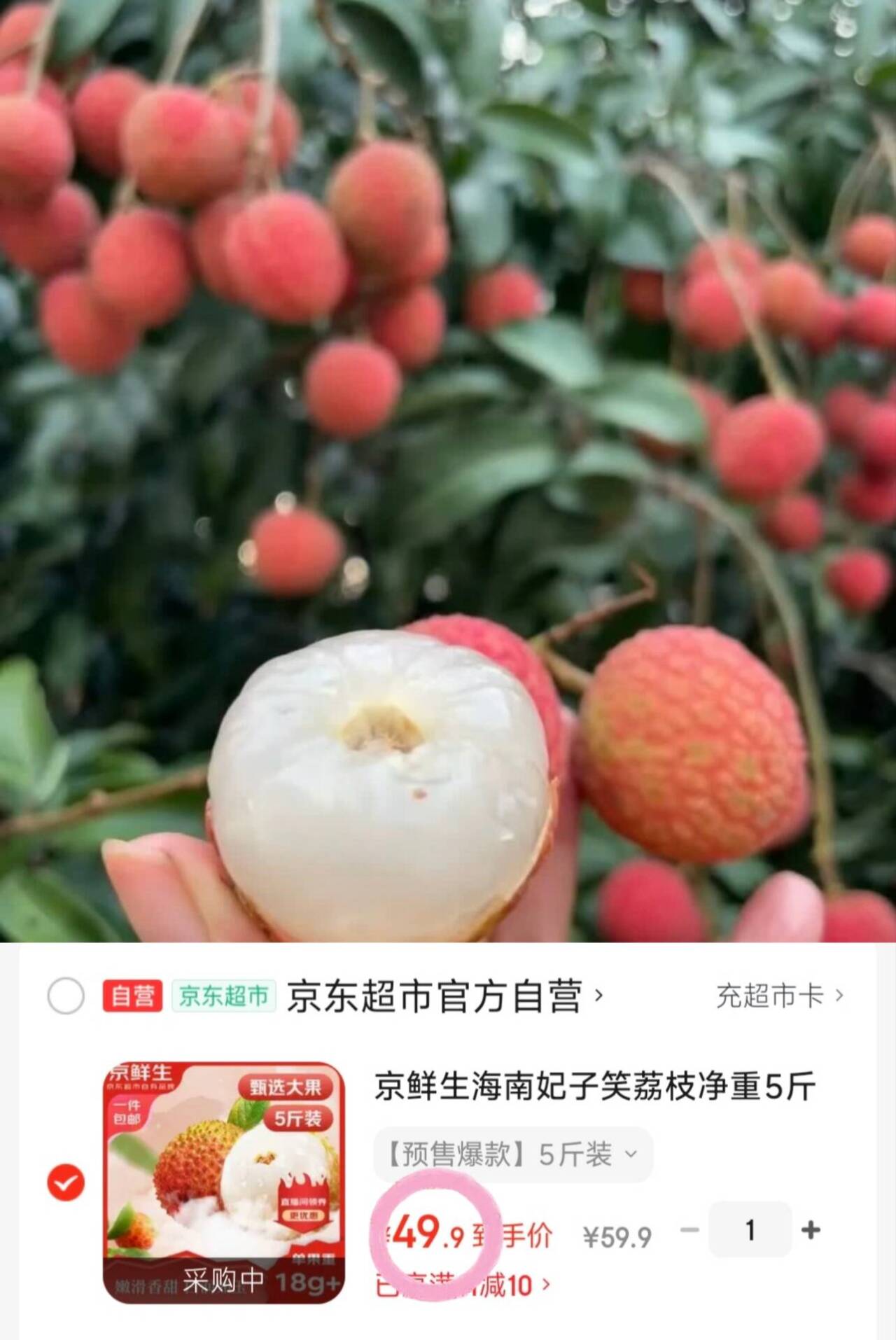 京鲜生海南妃子笑荔枝净重5斤装 单果18g+ 新鲜水果 包邮